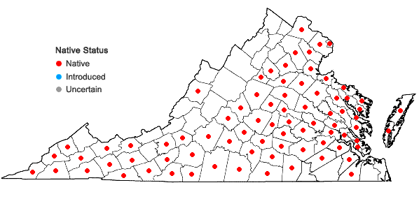 Locations ofHoustonia purpurea L. var. purpurea in Virginia