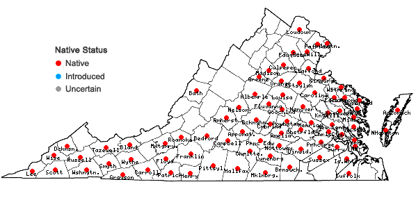 Locations ofHoustonia purpurea L. in Virginia