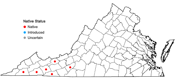 Locations ofHoustonia serpyllifolia Michx. in Virginia
