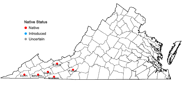 Locations ofHoustonia serpyllifolia Michx. in Virginia