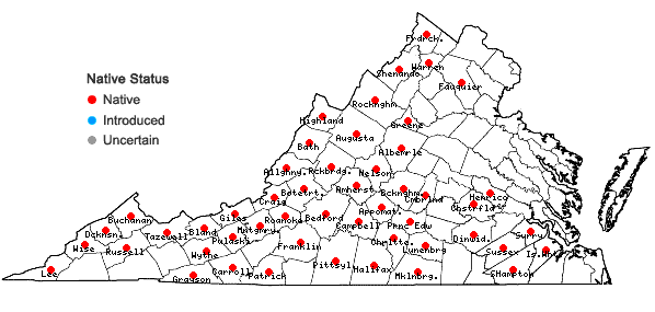 Locations ofHoustonia tenuifolia Nuttall in Virginia
