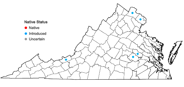 Locations ofHouttuynia cordata Thunb.   in Virginia