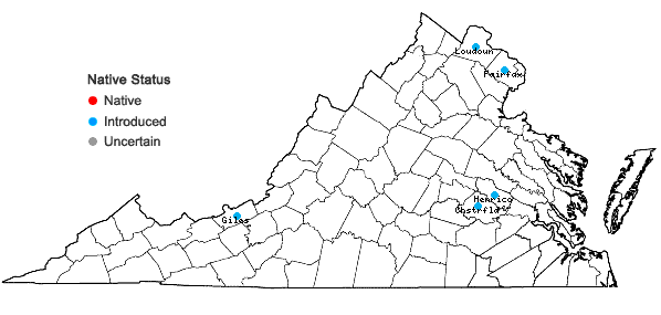 Locations ofHouttuynia cordata Thunb.   in Virginia