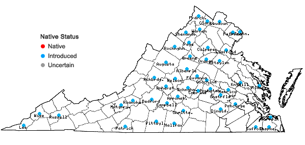 Locations ofHumulus japonicus Sieb. & Zucc. in Virginia