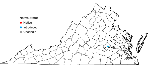 Locations ofHyacinthoides nonscripta (L.) Chouard ex Rothm. in Virginia