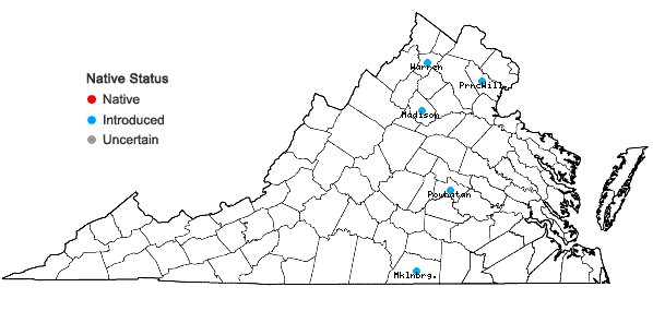 Locations ofHyacinthus orientalis L. in Virginia