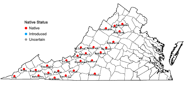 Locations ofHydatica petiolaris (Raf.) Small in Virginia
