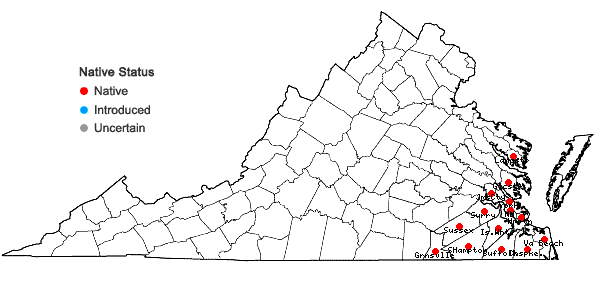 Locations ofHydrangea barbara (L.) B. Schulz in Virginia