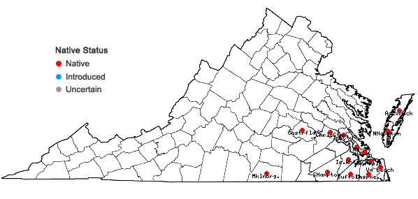 Locations ofHydrocotyle prolifera Kellogg in Virginia
