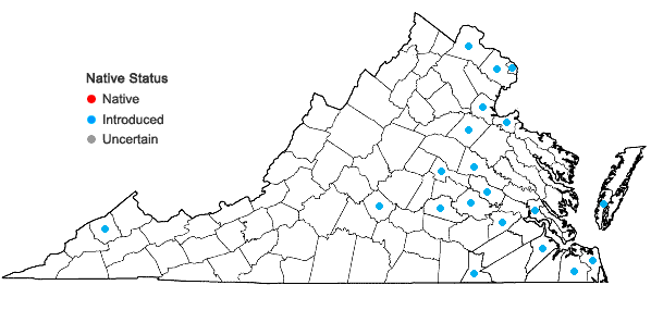 Locations ofHydrocotyle sibthorpioides Lam. in Virginia