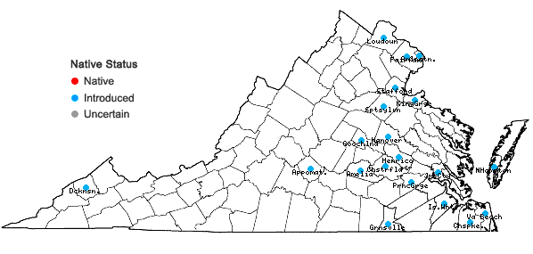Locations ofHydrocotyle sibthorpioides Lam. in Virginia