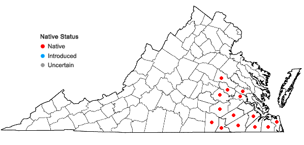 Locations ofHydrolea quadrivalvis Walt. in Virginia