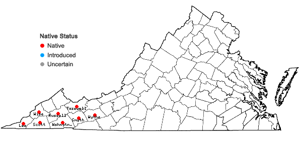 Locations ofHydrophyllum macrophyllum Nutt. in Virginia