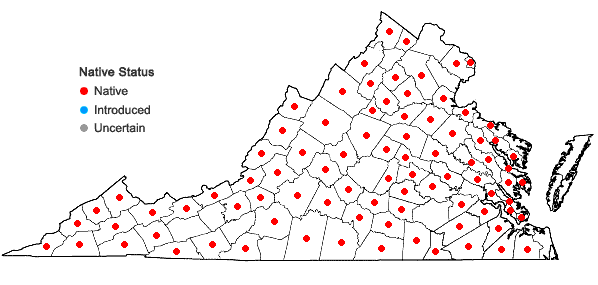 Locations ofHygroamblystegium varium (Hedw.) Mönkemeyer ssp. varium var. varium in Virginia