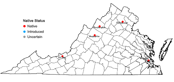 Locations ofHygroamblystegium varium (Hedw.) Mönkemeyer ssp. varium var. humile (P. Beauv.) Vanderpoorten & Hedenäs in Virginia
