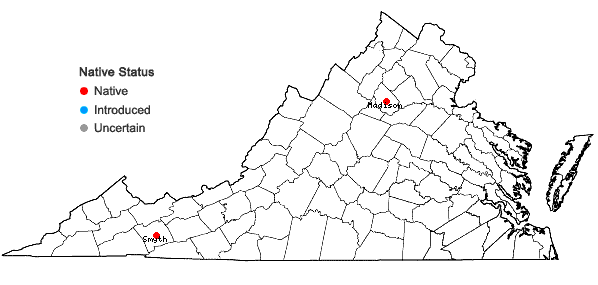 Locations ofHygrohypnum duriusculum (De Not.) D.W. Jamieson in Virginia