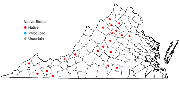 Locations ofHygrohypnum eugyrium (Schimp.) Loeske in Virginia
