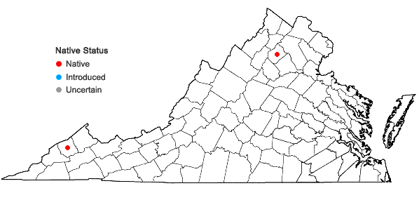 Locations ofHygrohypnum luridum (hedw.) Jenn. in Virginia