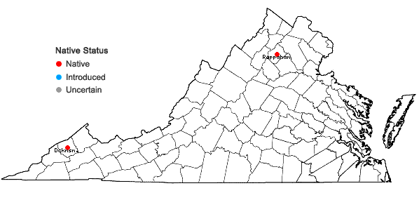 Locations ofHygrohypnum luridum (hedw.) Jenn. in Virginia