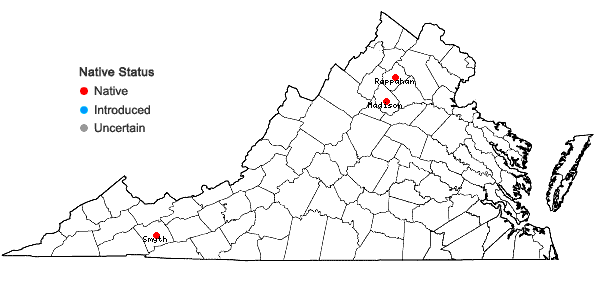 Locations ofHygrohypnum molle (Hedw.) Loeske in Virginia