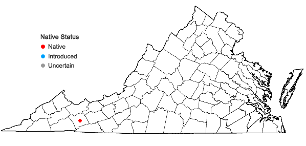 Locations ofHylocomiastrum umbratum (Hedw.) M. Fleisch. ex Broth. in Virginia