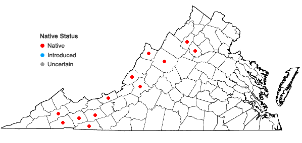 Locations ofHylocomium splendens (Hedw.) Schimp. in Virginia