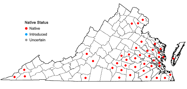 Locations ofHylodesmum pauciflorum (Nutt.) H. Ohashi & R.R. Mill in Virginia