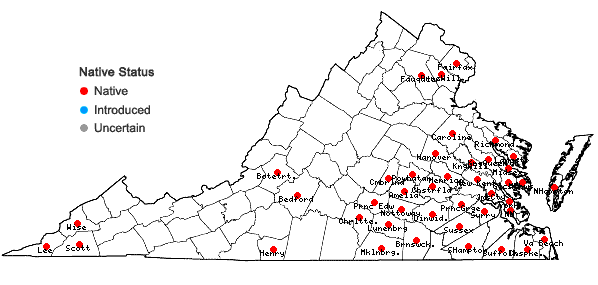 Locations ofHylodesmum pauciflorum (Nutt.) H. Ohashi & R.R. Mill in Virginia