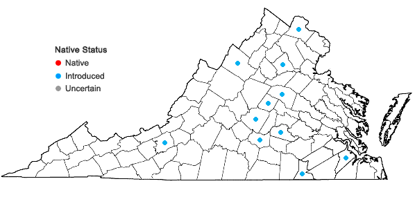 Locations ofHylotelephium erythrostictum (Miq.) H. Ohba in Virginia