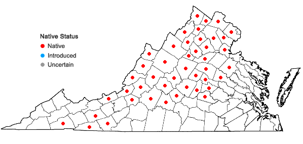 Locations ofHylotelephium telephioides (Michx.) H. Ohba in Virginia