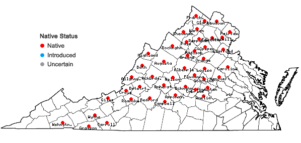 Locations ofHylotelephium telephioides (Michx.) H. Ohba in Virginia