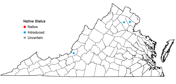 Locations ofHylotelephium telephium (L.) H. Ohba in Virginia