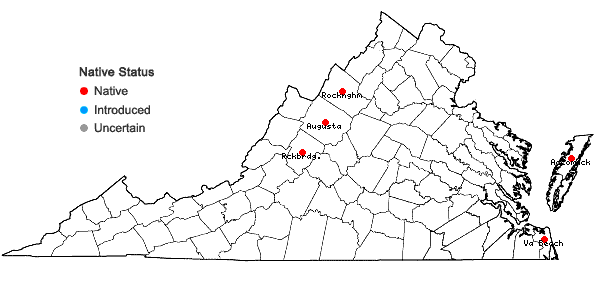 Locations ofHypericum boreale (Britt.) Bickn. in Virginia
