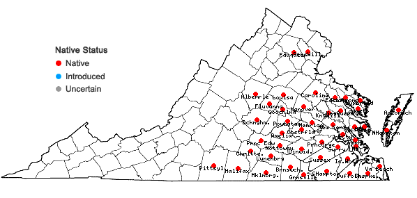 Locations ofHypericum crux-andreae (L.) Crantz in Virginia
