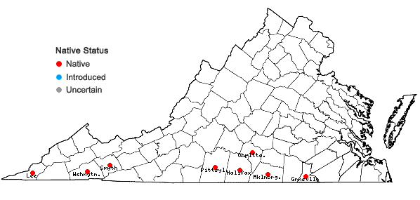 Locations ofHypericum drummondii (Grev. & Hooker) Torrey & A. Gray in Virginia