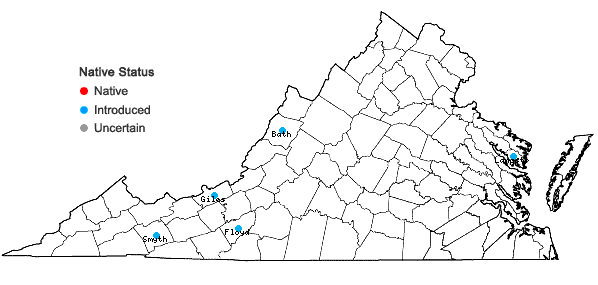 Locations ofHypericum frondosum Michx. in Virginia