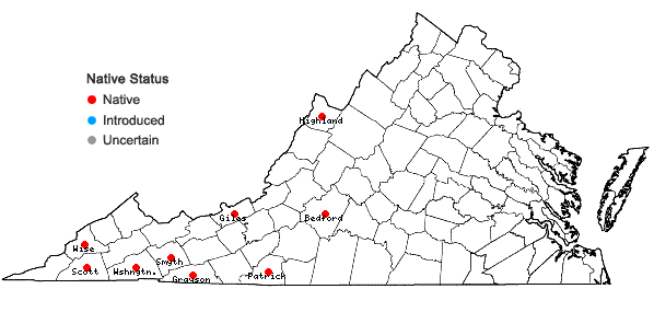 Locations ofHypericum mitchellianum Rydb. in Virginia