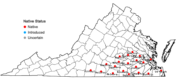 Locations ofHypericum nudiflorum Michx. ex Willd. in Virginia