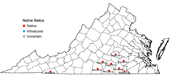 Locations ofHypericum virgatum Lam. in Virginia