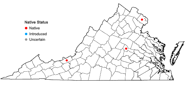 Locations ofHypnum cupressiforme var. filiforme Brid. in Virginia