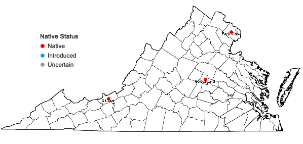Locations ofHypnum cupressiforme var. filiforme Brid. in Virginia