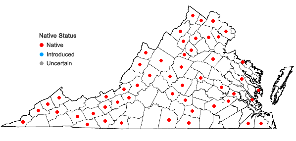 Locations ofHypnum curvifolium Hedwig in Virginia
