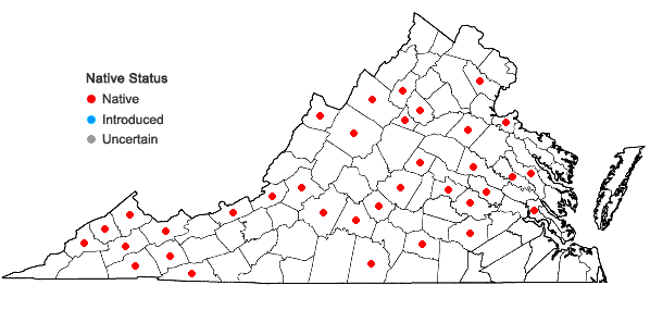 Locations ofHypnum fauriei Cardot in Virginia