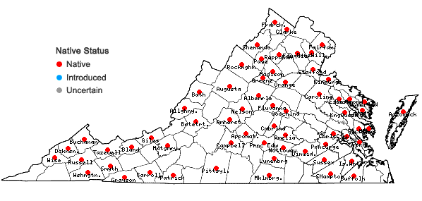 Locations ofHypnum imponens Hedwig in Virginia