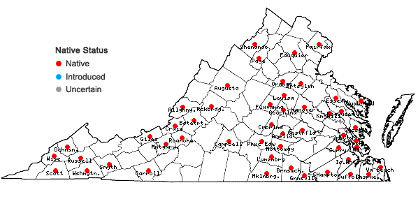 Locations ofHypnum lindbergii Mitt. in Virginia