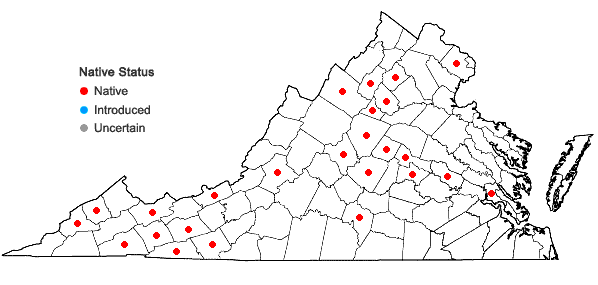 Locations ofHypnum pallescens (Hedw.) P. Beauv. in Virginia