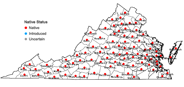 Locations ofHypopitys monotropa Crantz in Virginia