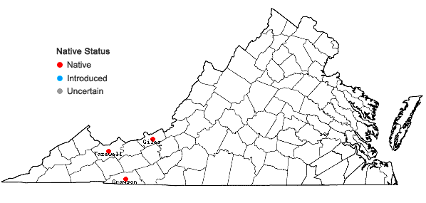 Locations ofIlex collina Alexander in Virginia