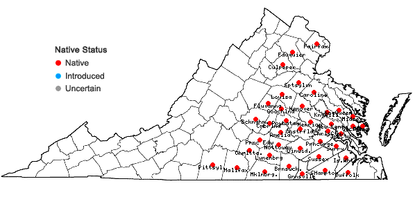 Locations ofIlex decidua Walt. in Virginia