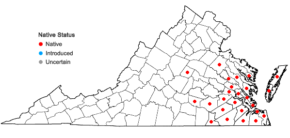 Locations ofIlex glabra (L.) Gray in Virginia